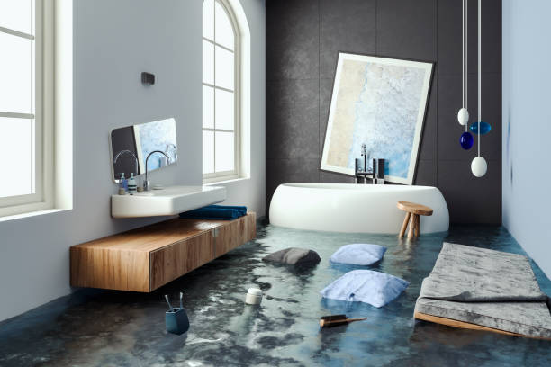 Best 24/7 water damage repair  in Bellevue, WA