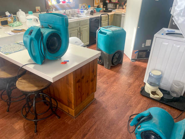 Best Water damage contractors near me  in Bellevue, WA