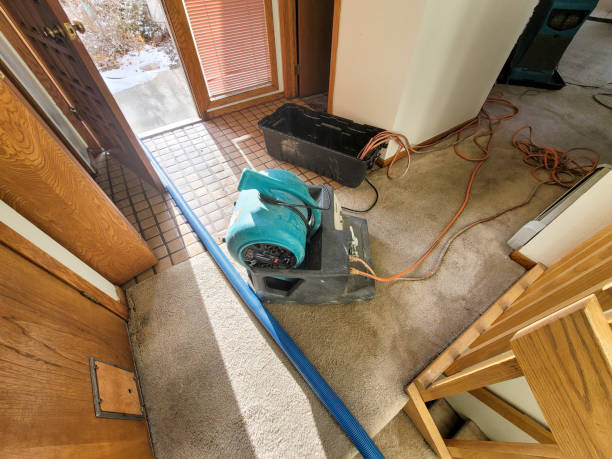 Best Water damage restoration company  in Bellevue, WA