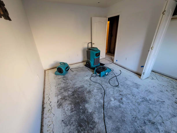 Sewage cleanup and water damage restoration in WA