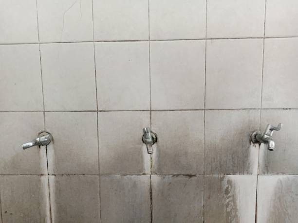 Best Flood damage cleanup  in Bellevue, WA