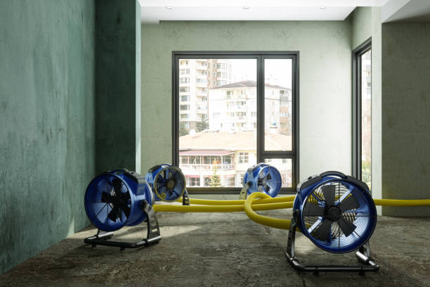 Best 24-hour water damage restoration  in Bellevue, WA